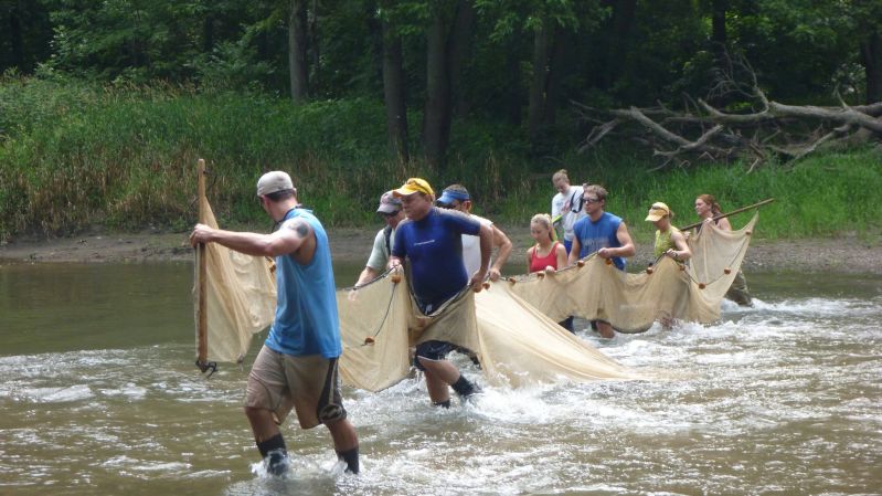 line of people using bag seine in the Vermilion River