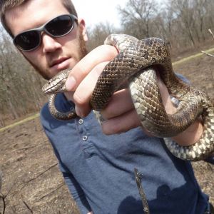 Tyson Dallas holding a snake